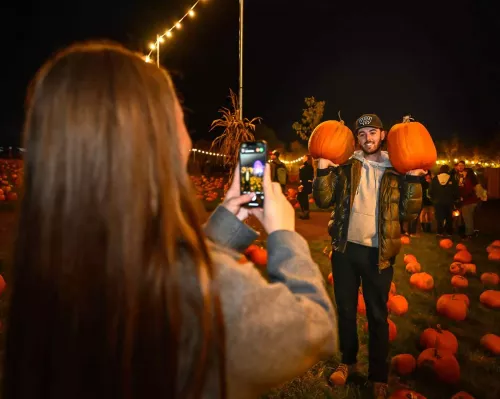Tulleys Pumpkin Nights - Europe's Largest Pumpkin Festival