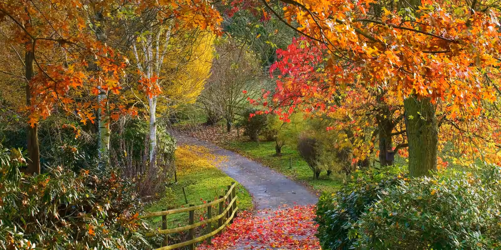 Bodenham Arboretum gallery image 1